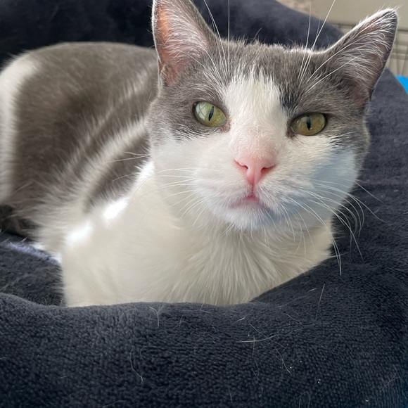 🎀 Meet Your Seller 🎀 - Picture 5 of 5